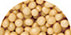 duration Regular